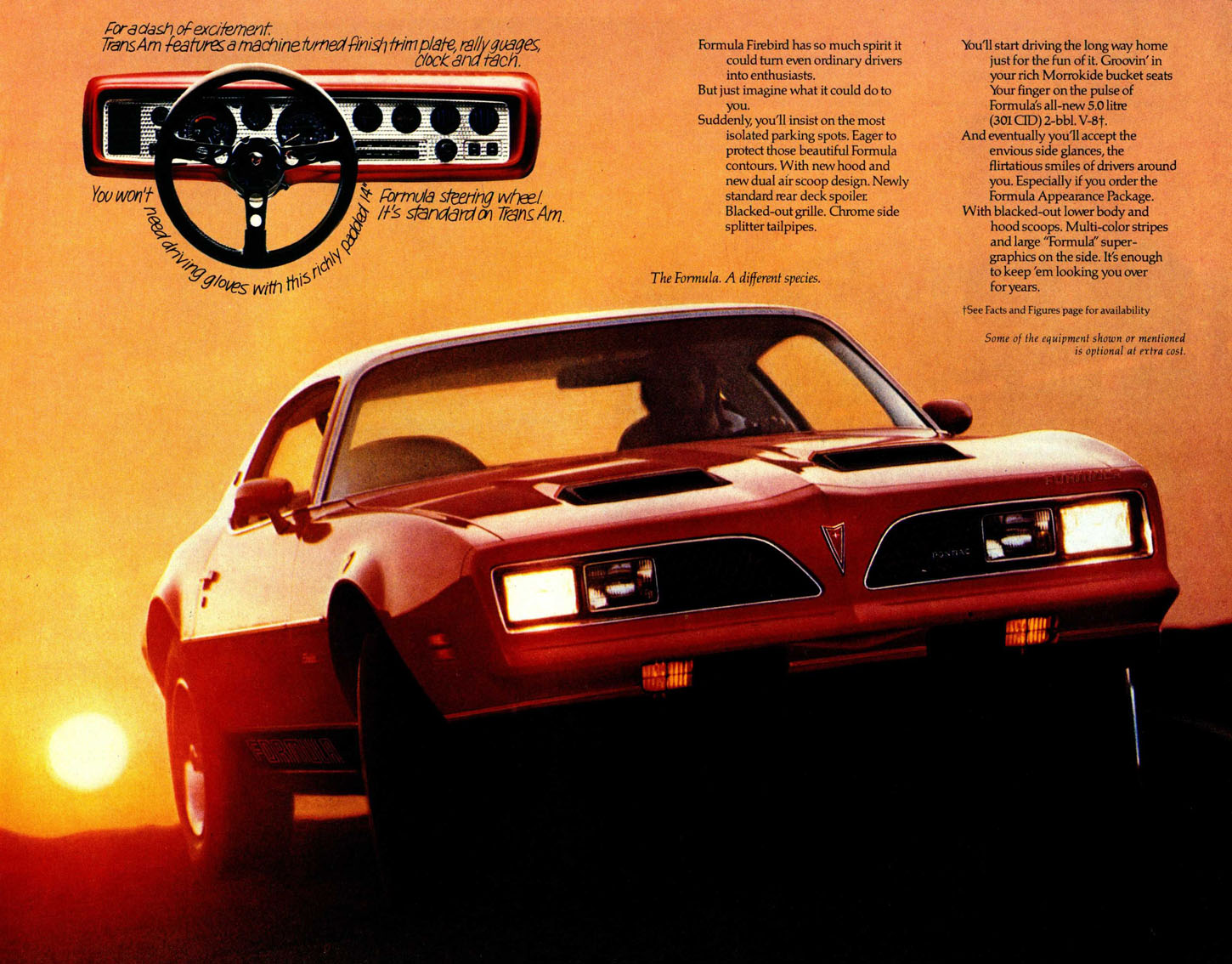 n_1977 Pontiac Firebird (Cdn)-03.jpg